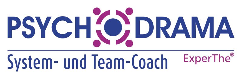 System- und Team-Coach