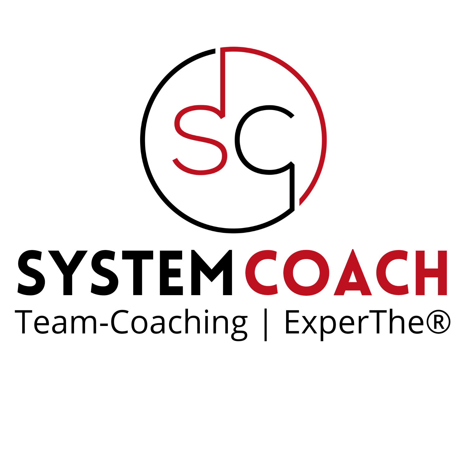 Zertifizierter System- und Team-Coach