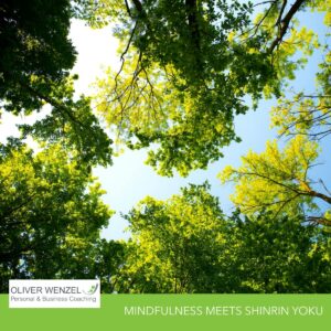 Mindfulness meets Shinrin Yoku
