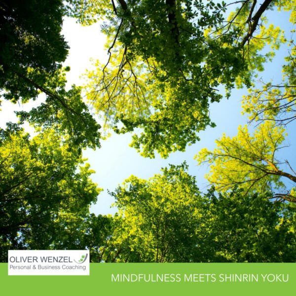 Mindfulness meets Shinrin Yoku